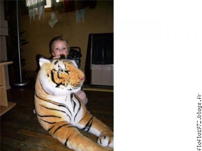 Laisser moi avec mon tigre ...!!!